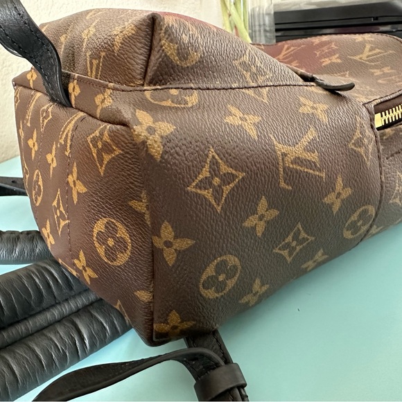Louis Vuitton Palm Springs PM Monogram backpack - Picture 9 of 12